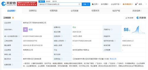 王思聰普思資本布局南京，投資計算機系統服務新公司